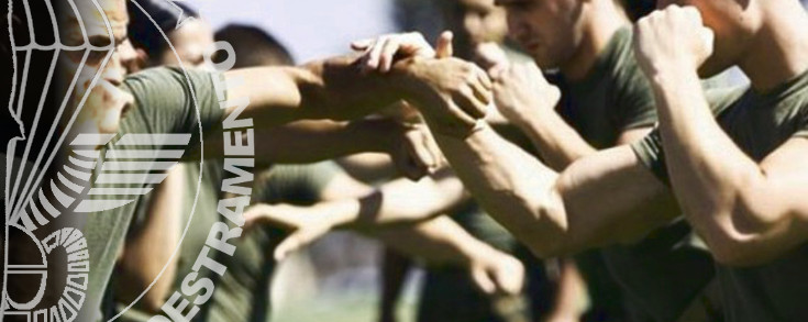 Combattimento corpo a corpo